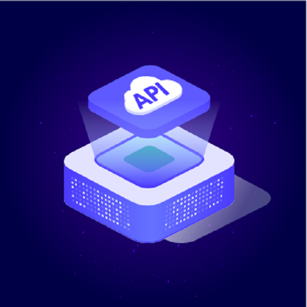 What does API mean